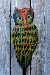 #0102 CRICKET the OWL