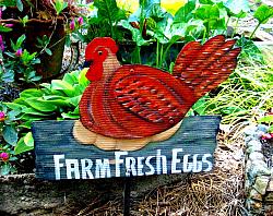 Farm Fresh Eggs with Chicken