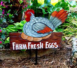 Farm Fresh Eggs with Chicken