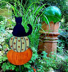 Black CAT Sitting On Stacked PUMPKINS