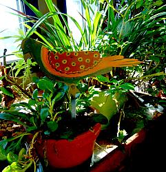 #9051 Bird Polka Dot Back in Plant
